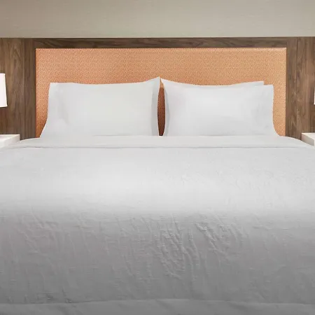 Hampton Inn Baltimore-Downtown-Convention Center-3